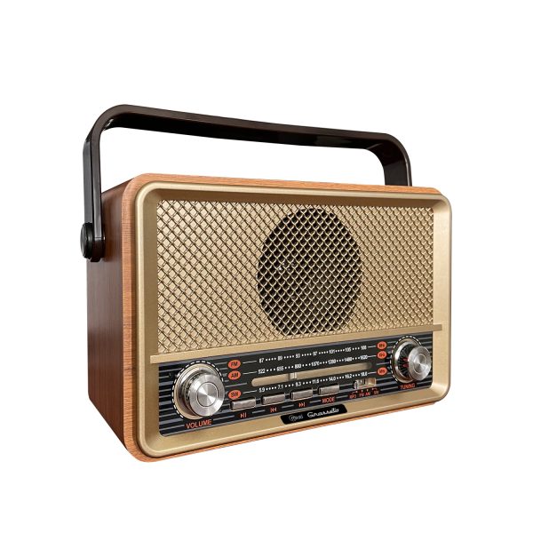 9142 -  Radio Retro Grosseto - Image 4